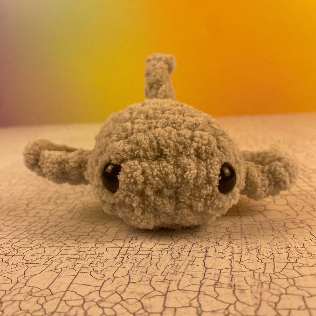 Nathaniel the Nurse Shark