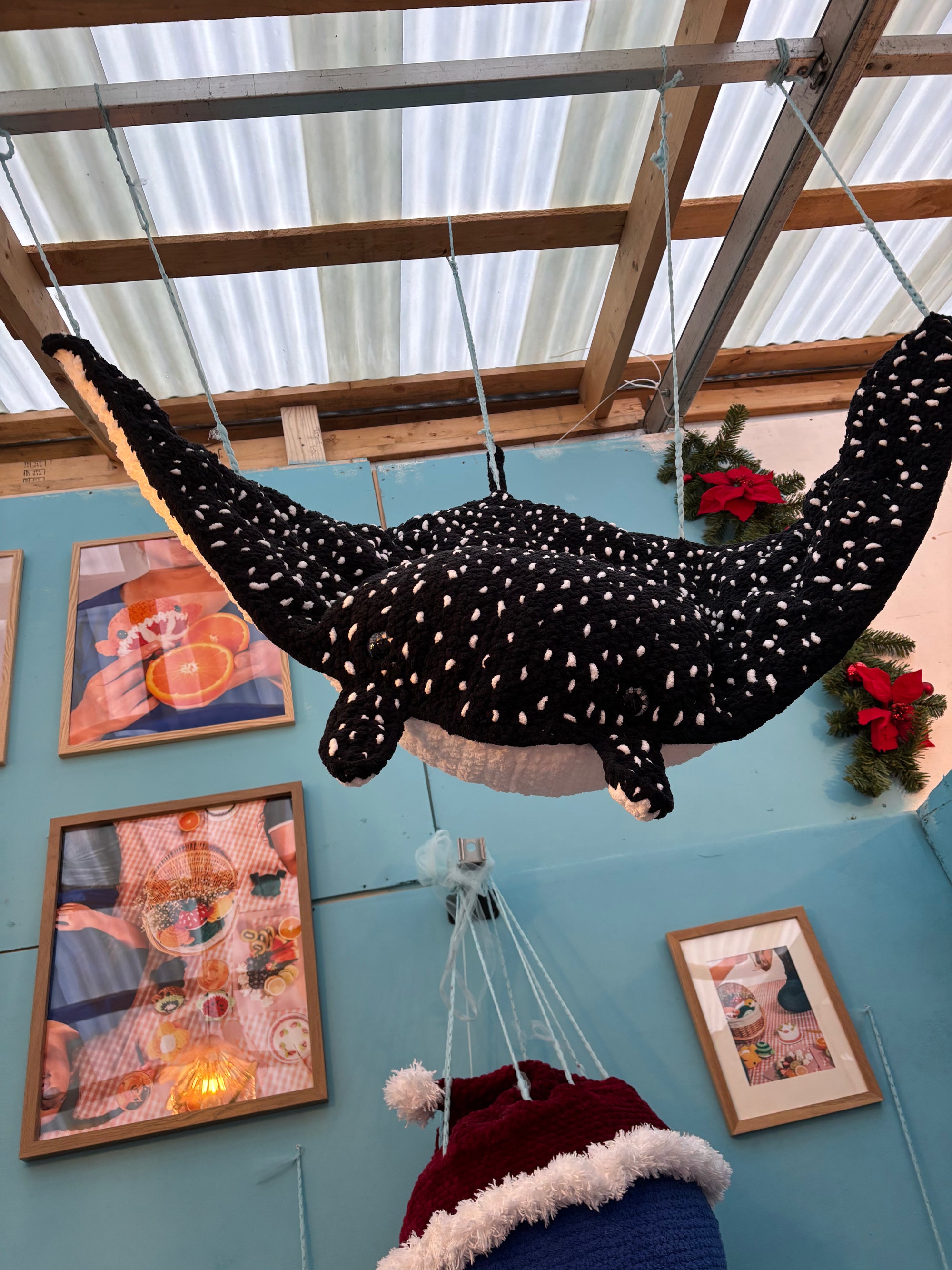 Eleanor the Eagle Ray