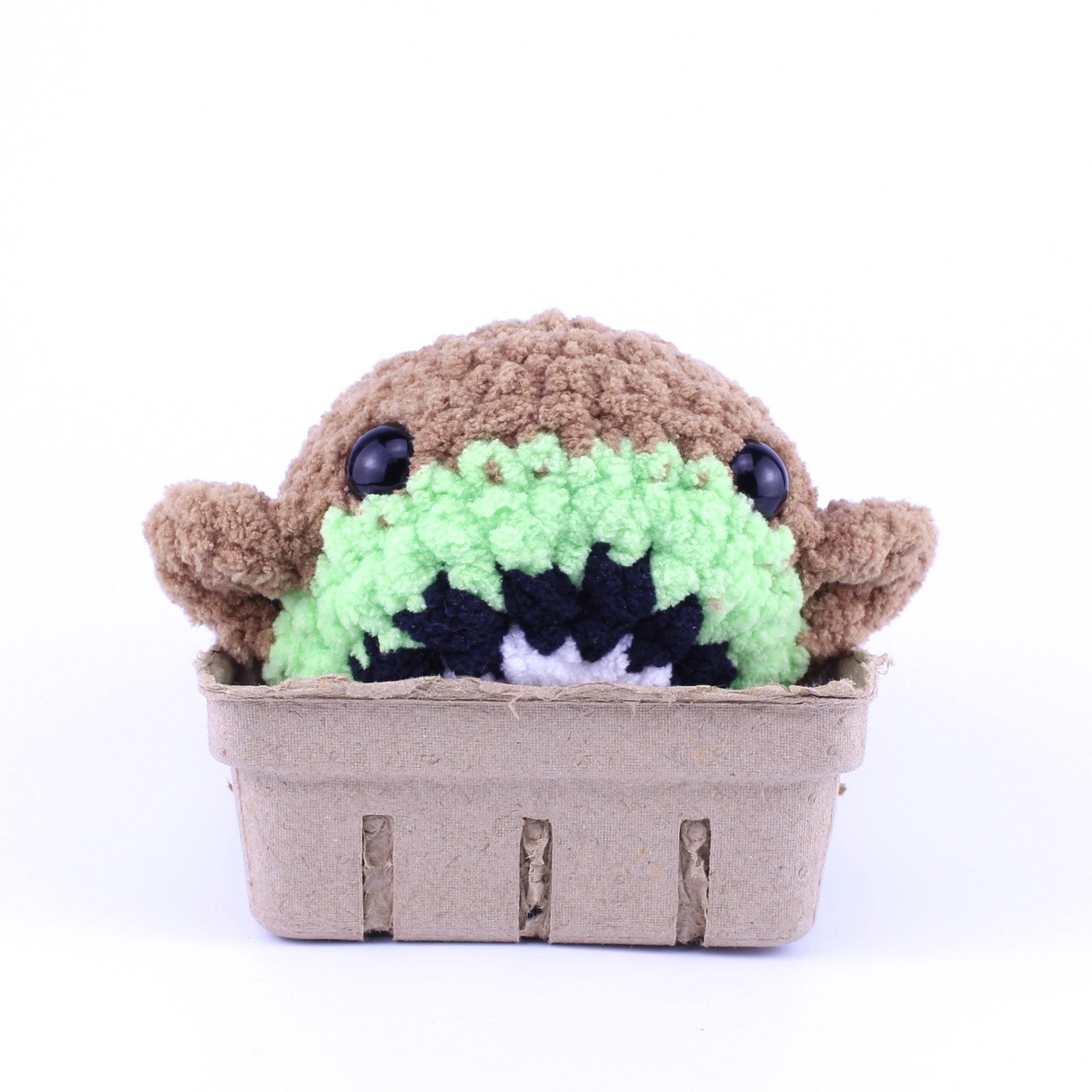 Kali the Kiwi Whale Crochet Plushie