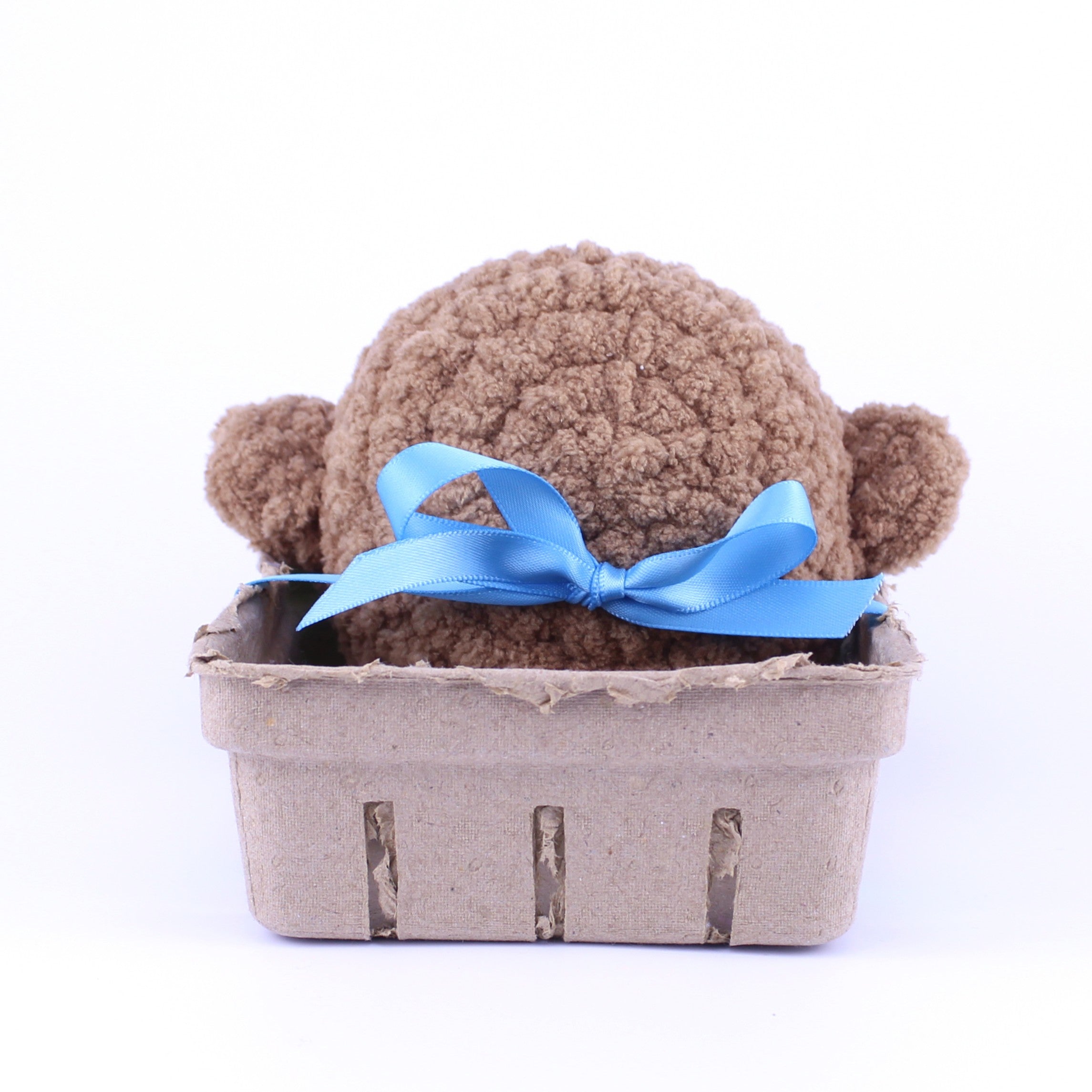 Kali the Kiwi Whale Crochet Plushie