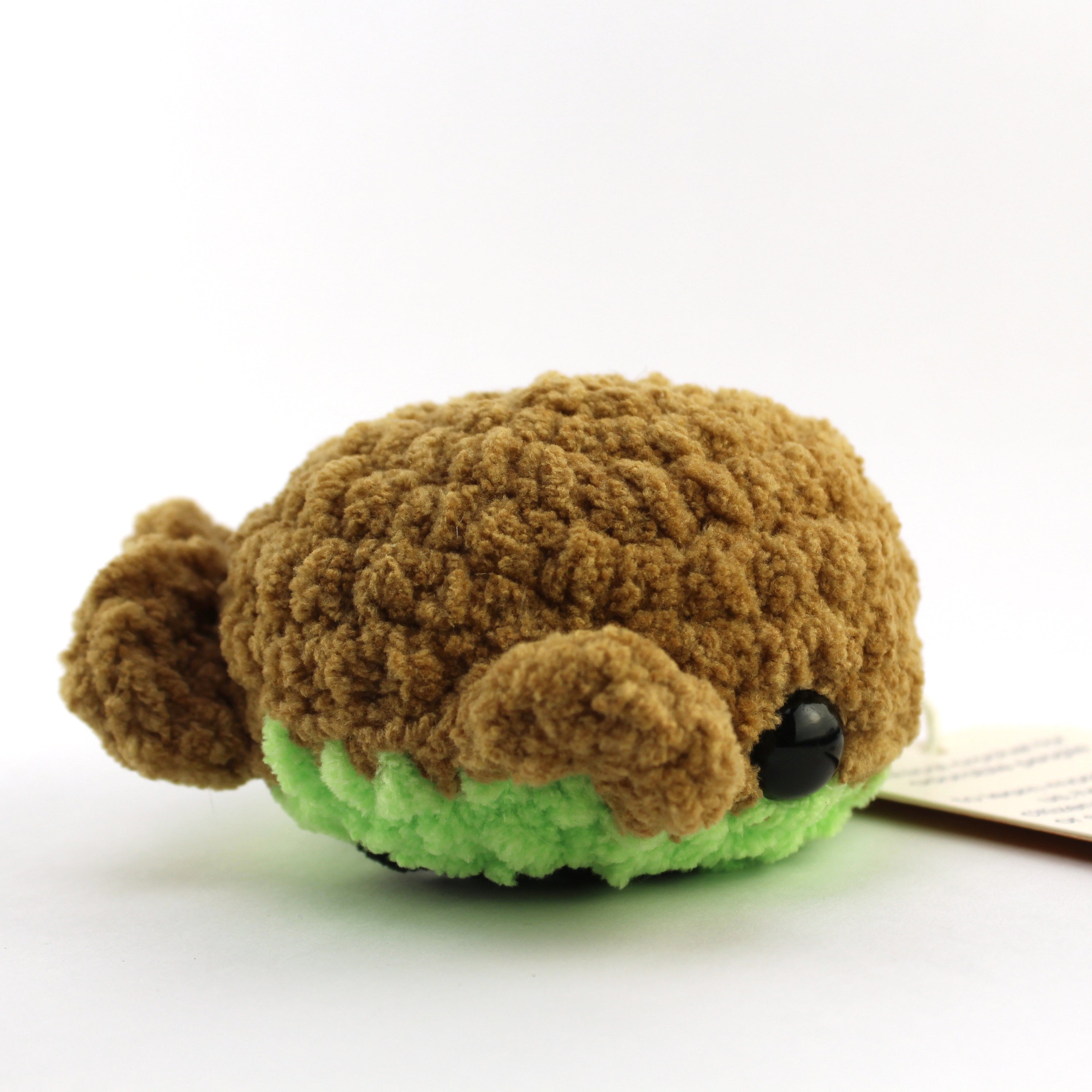 Kali the Kiwi Whale Crochet Plushie
