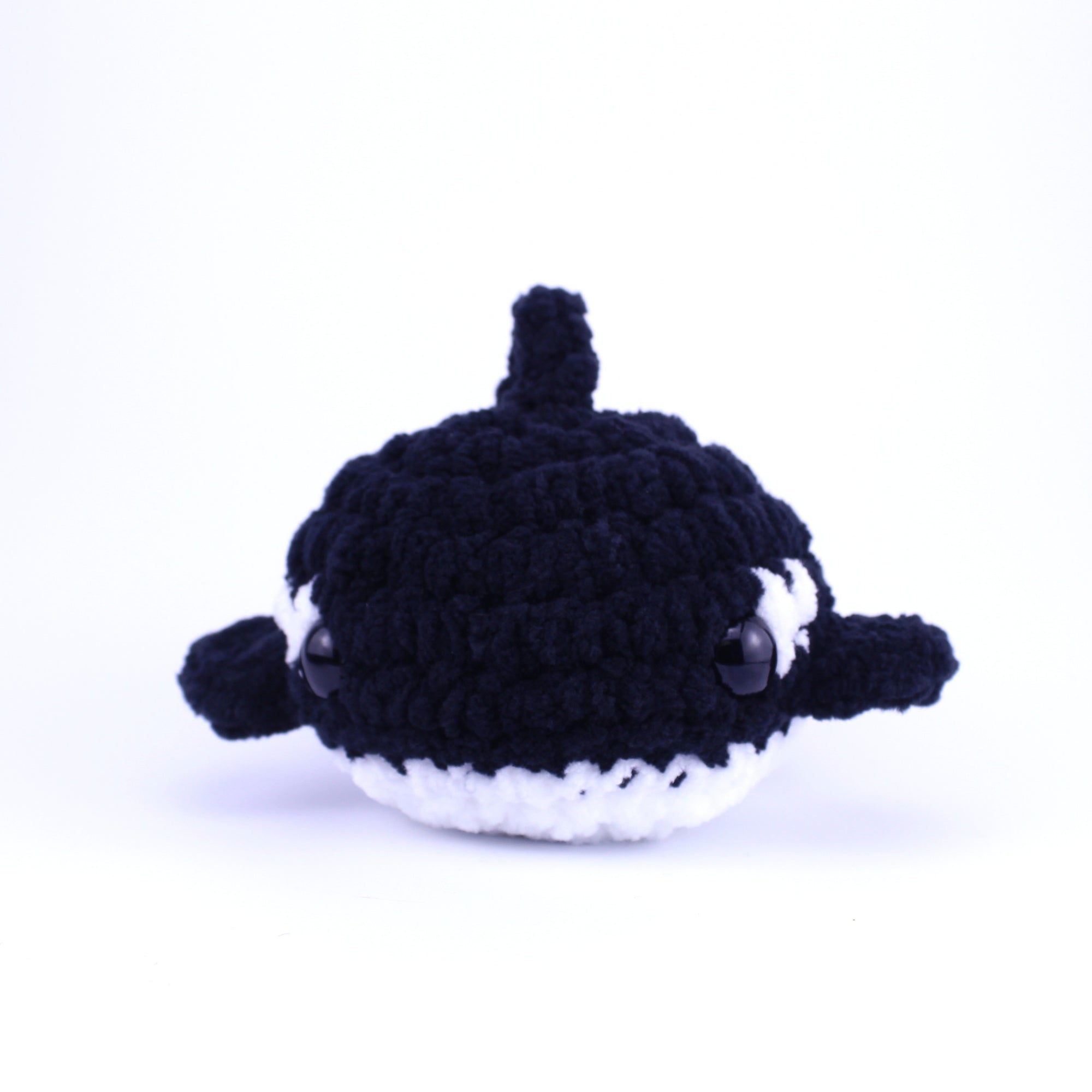 Olly the Orca
