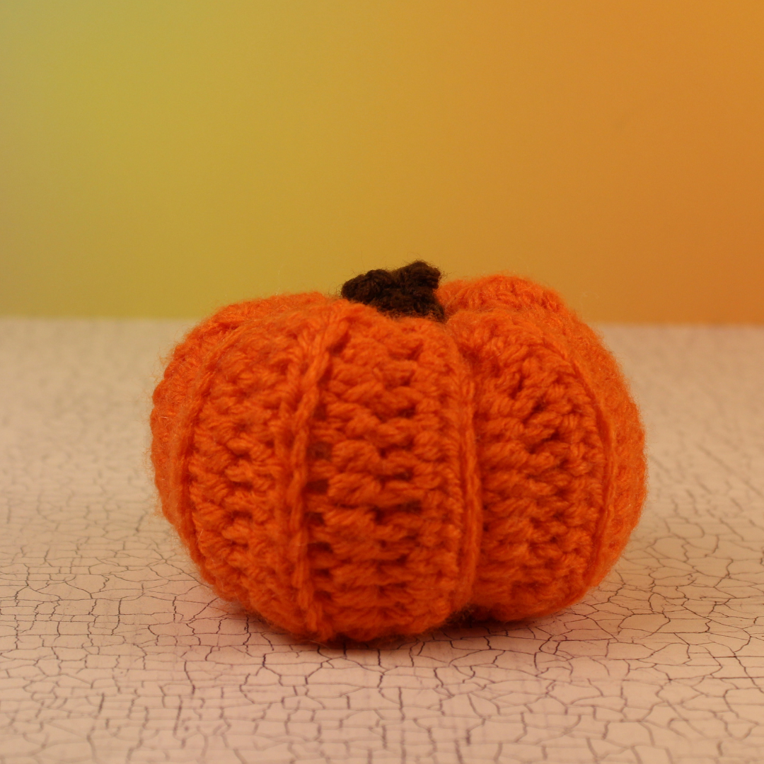 Pumpkin Learn to Crochet Kit