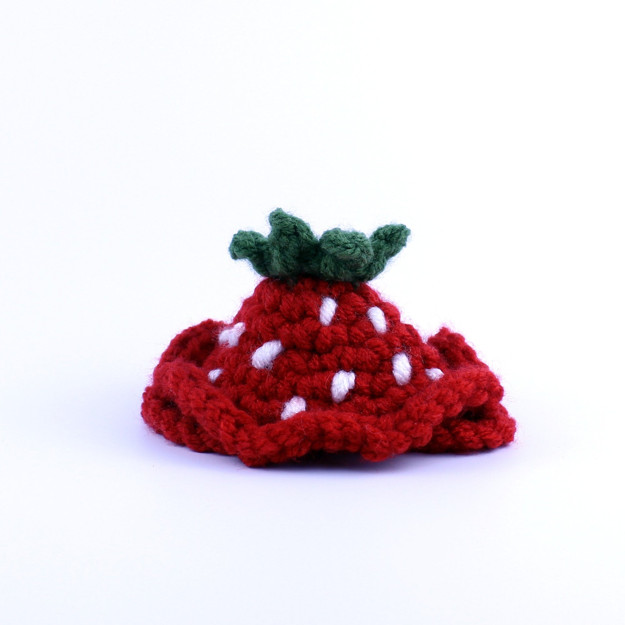 Strawberry Cat Hat Learn to Crochet Kit
