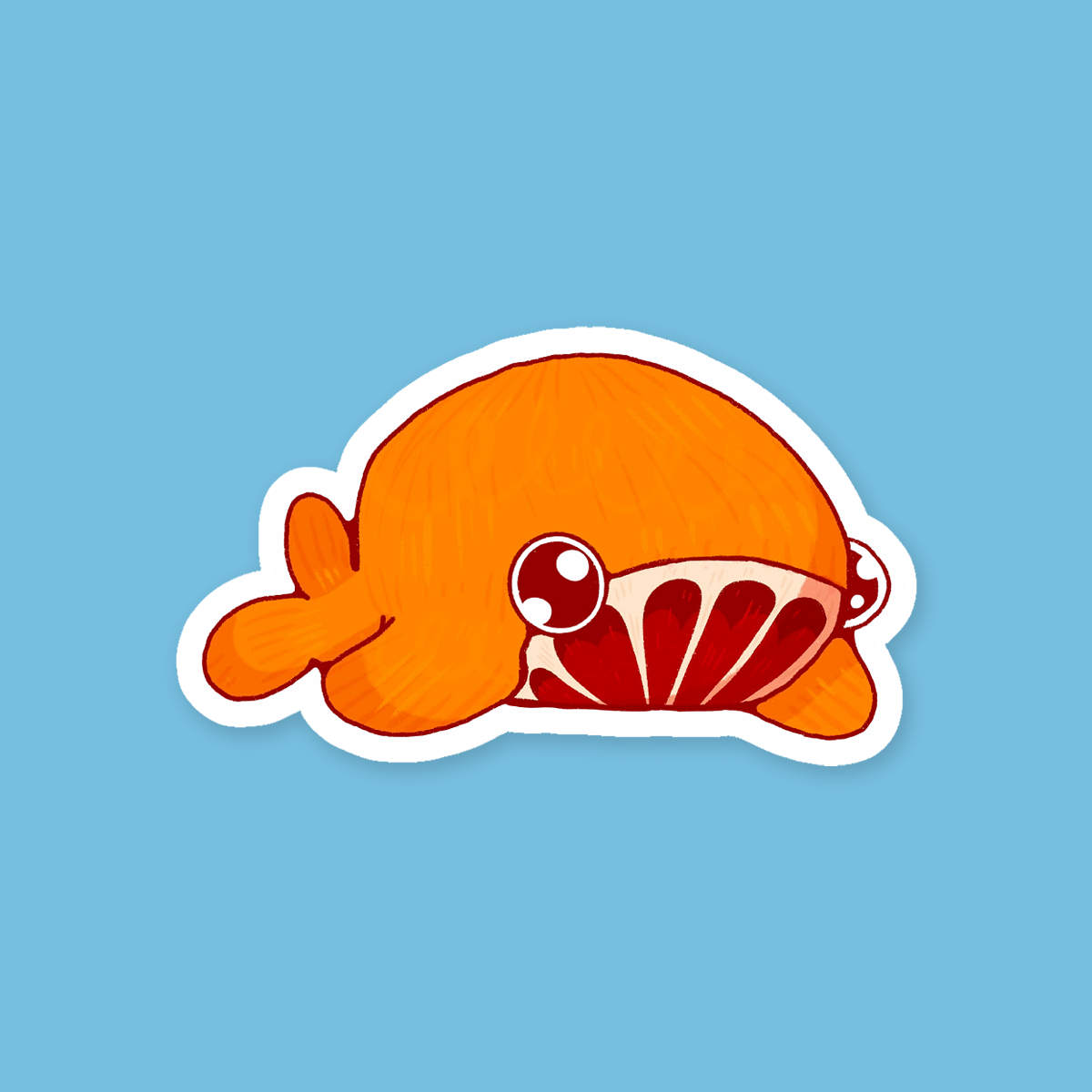 Bandit the Blood Orange Whale Sticker