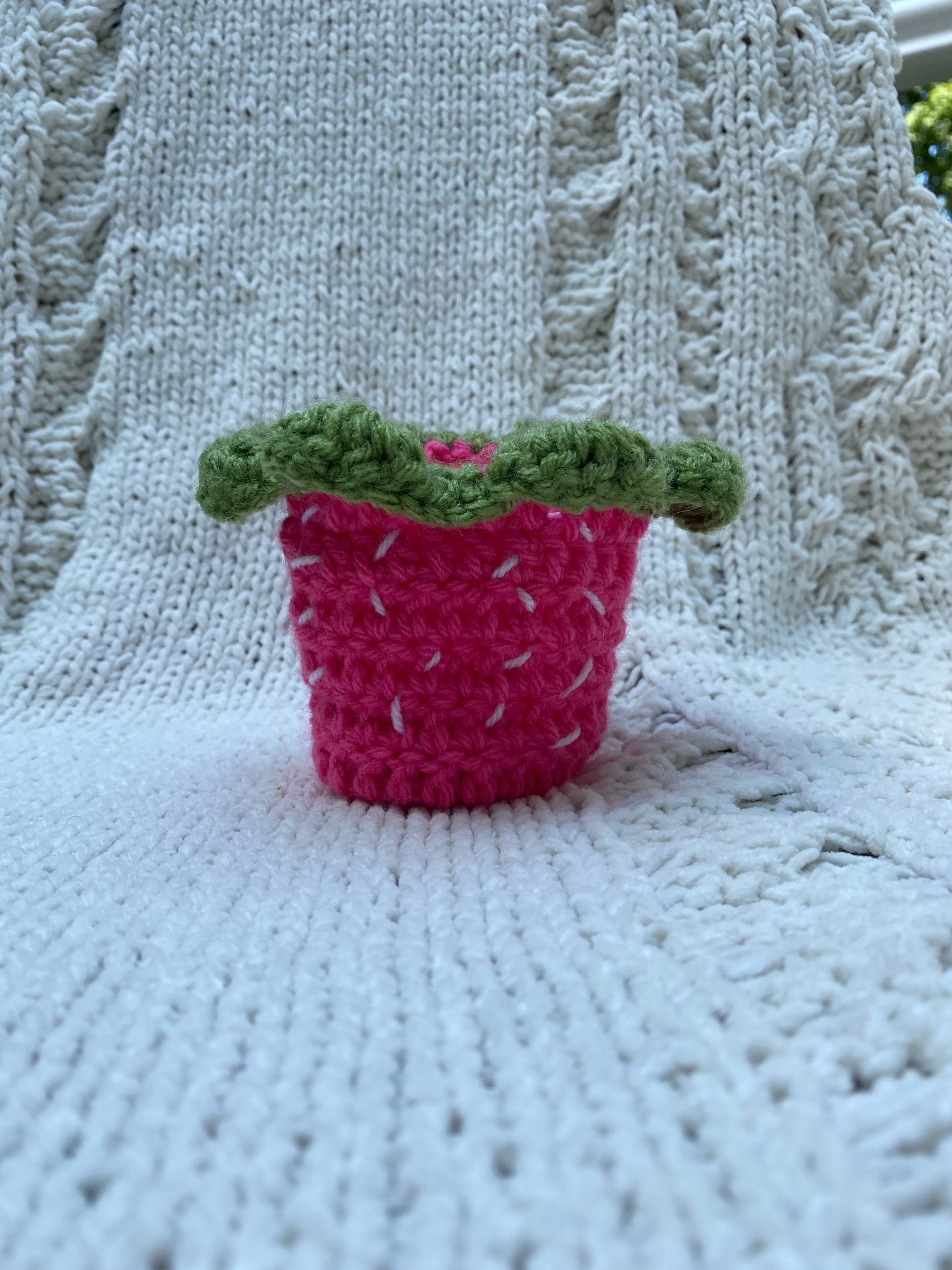 Strawberry Can Coozie