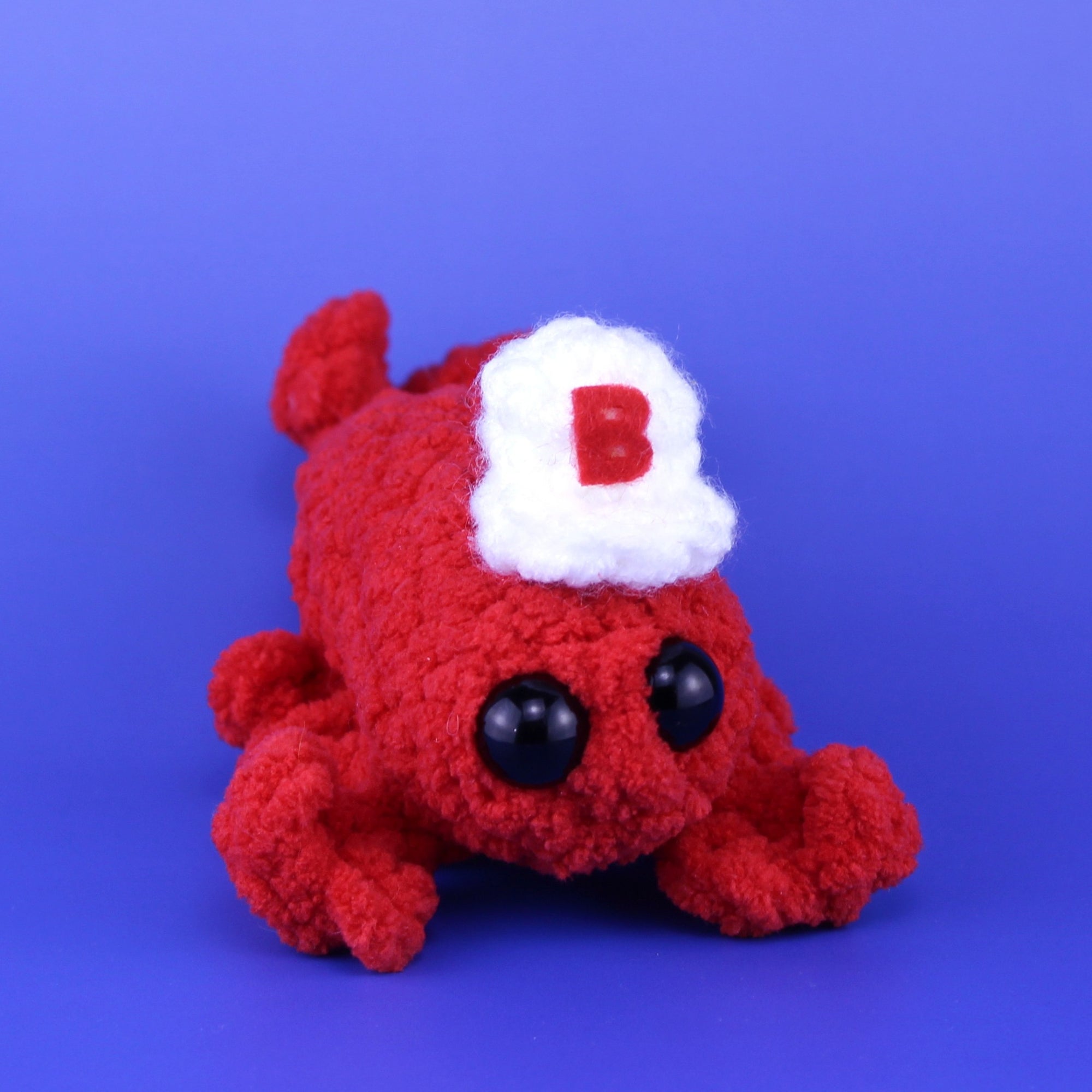 Tiny Boston Baseball Cap