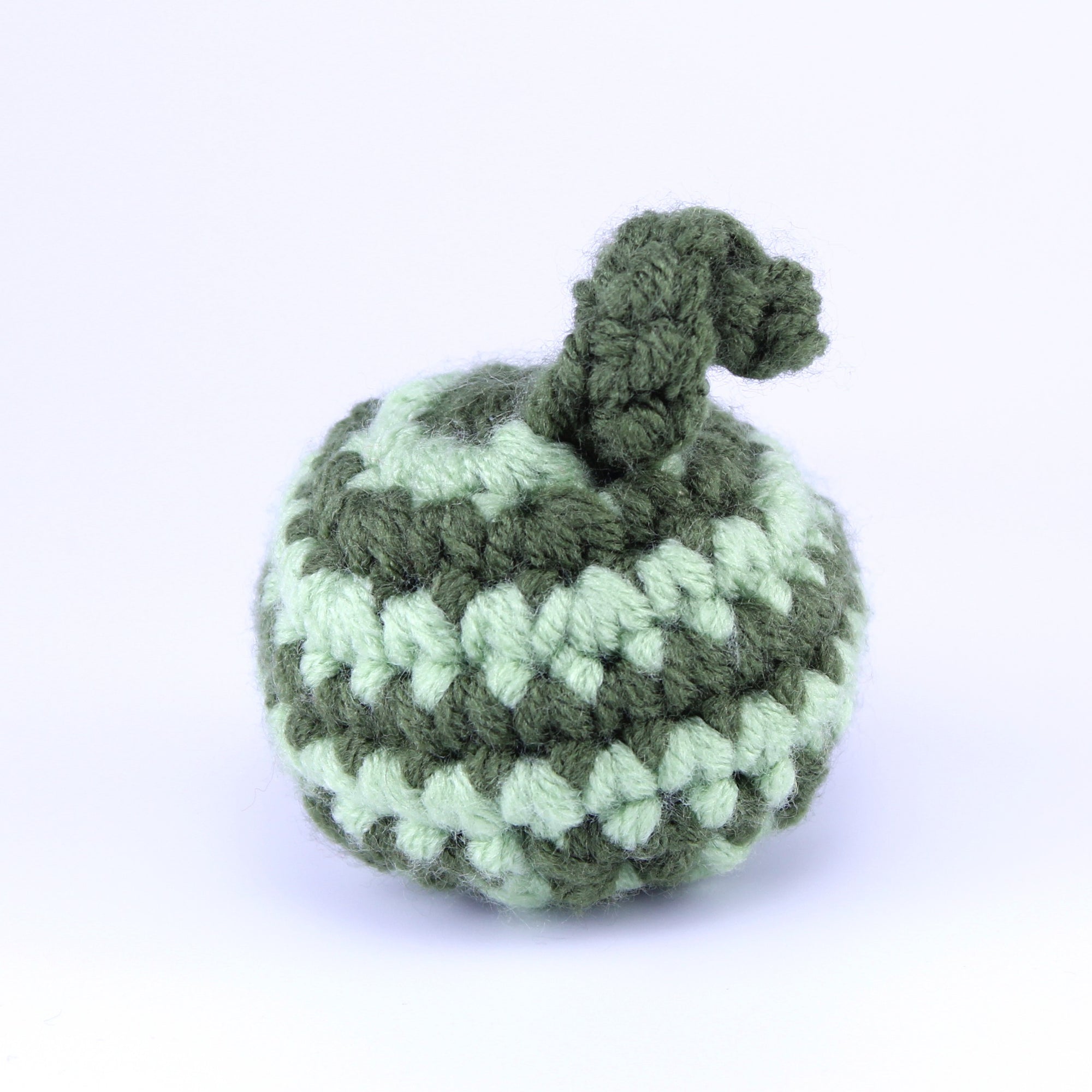 Watermelon Hacky Sack